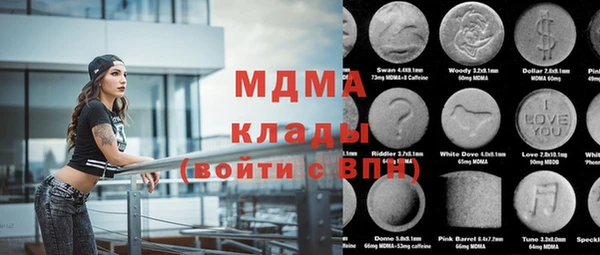 шишки Магас