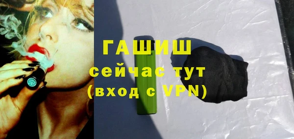 шишки Магас