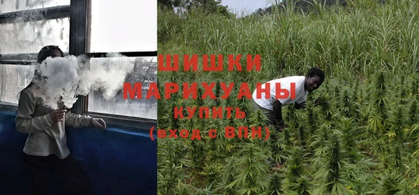 шишки Магас