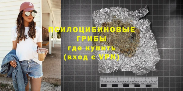 шишки Магас