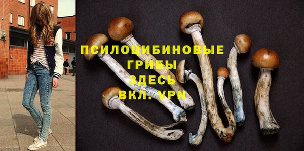 mdpv Майский