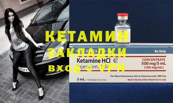 шишки Магас