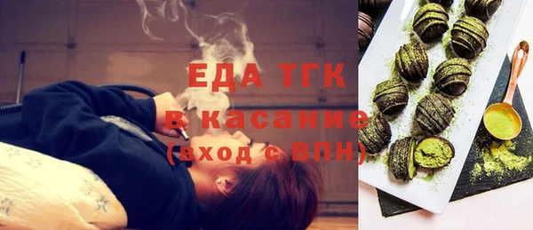 шишки Магас