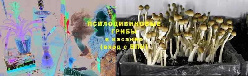 Галлюциногенные грибы MAGIC MUSHROOMS  купить наркоту  Миллерово 