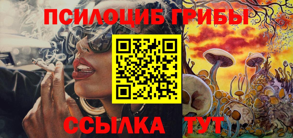 Миллерово  Псилоцибиновые грибы MAGIC MUSHROOMS  Вход с VPN 